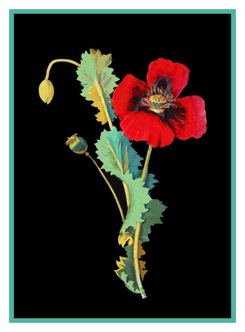 Red Poppy Flower by Mary Delany Counted Cross Stitch Pattern DIGITAL DOWNLOAD
