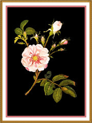 [product_title] - Orenco Originals LLC Counted Cross Stitch