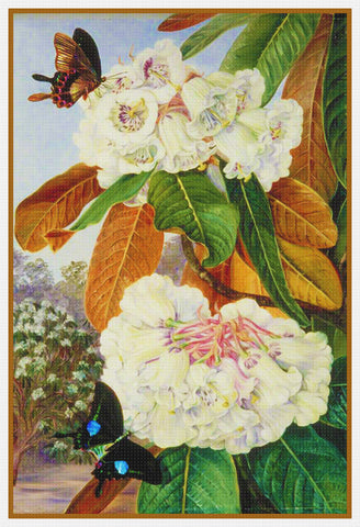 Marianne North's Butterfly and Rhododendron Flowers Counted Cross Stitch Pattern