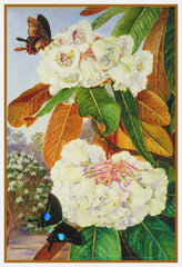 [product_title] - Orenco Originals LLC Counted Cross Stitch