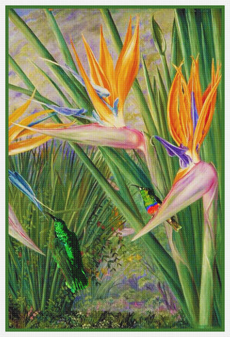 Marianne North's Bird of Paradise  and Humming Bird Counted Cross Stitch Pattern