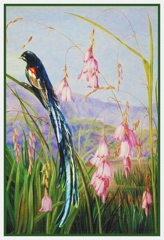 Marianne North's Long Tailed Finch on Blossoms Counted Cross Stitch Pattern
