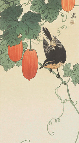 Japanese Artist Ohara (Koson) Shoson's Fly Catcher Bird on Cucumber Counted Cross Stitch Pattern