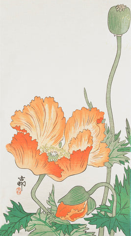 Japanese Artist Ohara (Koson) Shoson's Poppy Flower Counted Cross Stitch Pattern