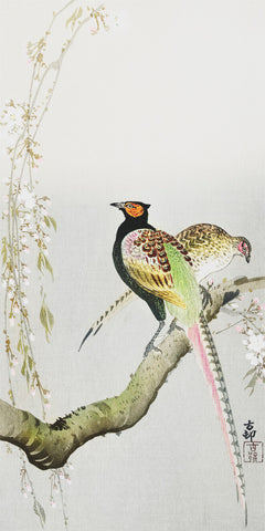 Japanese Artist Ohara (Koson) Shoson's Pair of Pheasants Counted Cross Stitch Pattern
