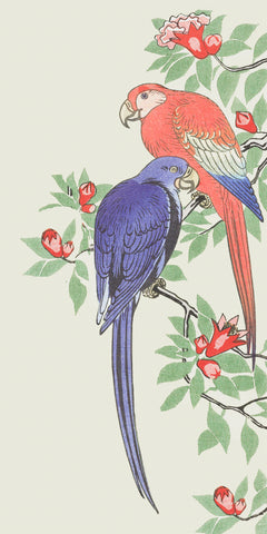 Japanese Artist Ohara (Koson) Shoson's Red and Blue Parrot Counted Cross Stitch Pattern