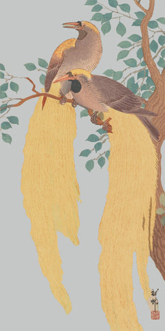 Japanese Artist Ohara (Koson) Shoson's Birds of Paradise Counted Cross Stitch Pattern