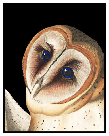 Barn Owl detail Bird Illustration by John James Audubon Counted Cross Stitch Pattern