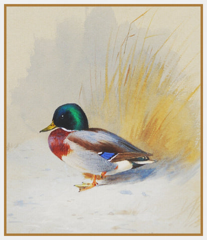 Archibald Thorburn Mallard Duckling Counted Cross Stitch Pattern DIGITAL DOWNLOAD