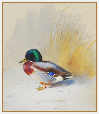 Archibald Thorburn Mallard Duckling Counted Cross Stitch Pattern