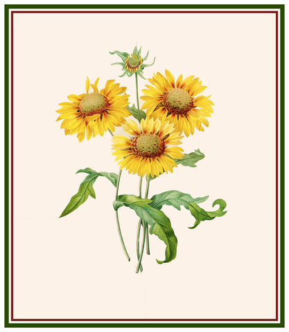 Blanket Sunflowers Inspired by Pierre-Joseph Redoute Counted Cross Stitch Pattern