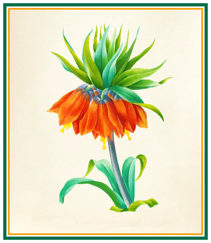 Fritillaria Flower Inspired by Pierre-Joseph Redoute Counted Cross Stitch Pattern