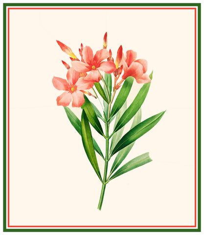 Oleander Flowers Inspired by Pierre-Joseph Redoute Counted Cross Stitch Pattern