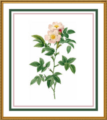 [product_title] - Orenco Originals LLC Counted Cross Stitch
