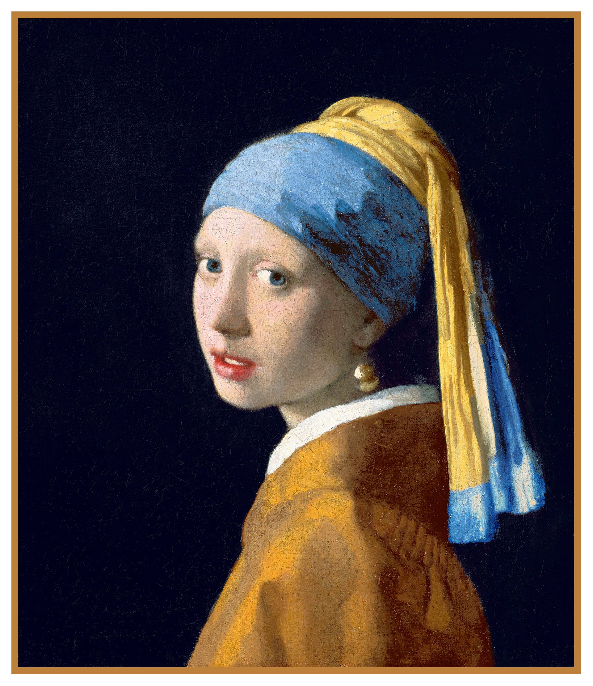 Girl with one hotsell pearl earring painting