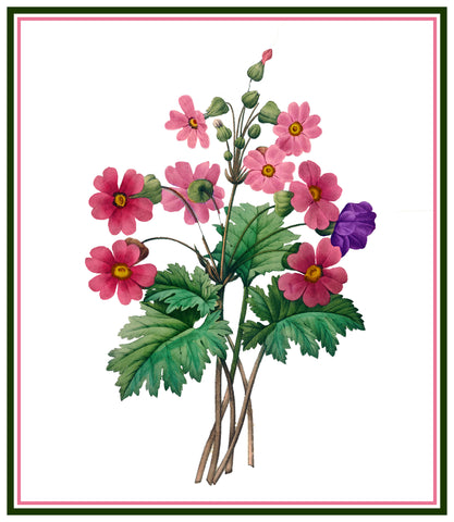 Chinese Primrose Flowers Inspired by Pierre-Joseph Redoute Counted Cross Stitch Pattern