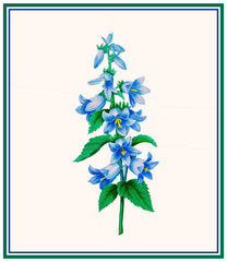 [product_title] - Orenco Originals LLC Counted Cross Stitch