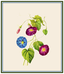 [product_title] - Orenco Originals LLC Counted Cross Stitch