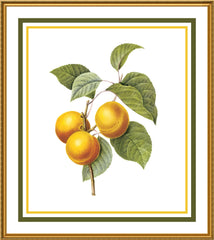 [product_title] - Orenco Originals LLC Counted Cross Stitch