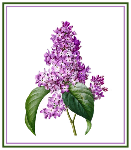 Lilac Flower Inspired by Pierre-Joseph Redoute Counted Cross Stitch Pattern DIGITAL DOWNLOAD