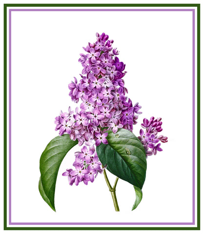 Lilac Flower Inspired by Pierre-Joseph Redoute Counted Cross Stitch Pattern