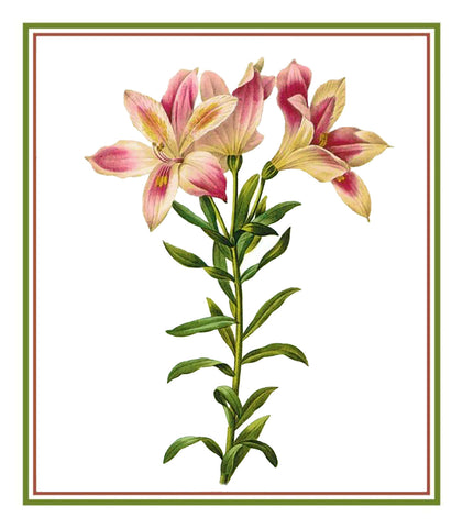 Pierre-Joseph Redoute's Flower Illustration of Peruvian Lily Counted Cross Stitch Chart