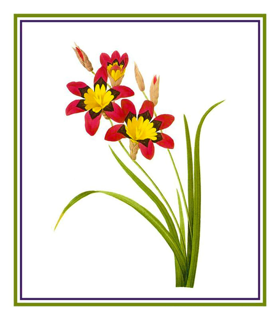 product_title] - Orenco Originals LLC Counted Cross Stitch