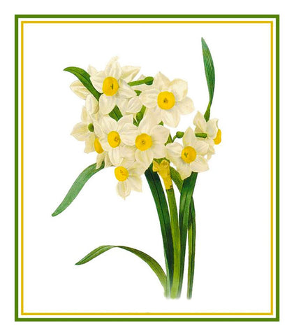 Narcissus Flowers Inspired by Pierre-Joseph Redoute Counted Cross Stitch Pattern DIGITAL DOWNLOAD
