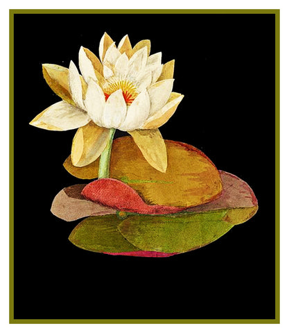 Water Lily Flower by Mary Delany Counted Cross Stitch Pattern DIGITAL DOWNLOAD