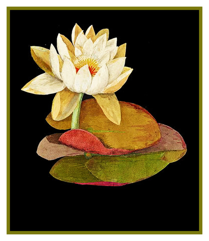 Water Lily Flower by Mary Delany Counted Cross Stitch Pattern