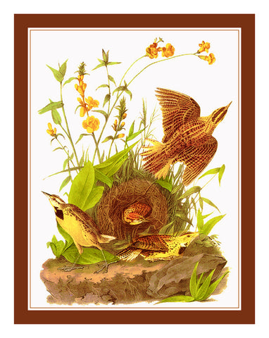 Eastern Meadowlark Bird Illustration by John James Audubon Counted Cross Stitch Pattern