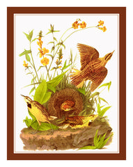 [product_title] - Orenco Originals LLC Counted Cross Stitch