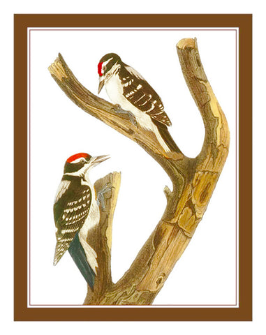 Pair of Woodpecker Birds Illustration by John James Audubon Counted Cross Stitch Pattern
