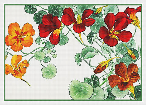 Tanigami Konan Asian Nasturtium Flowers Counted Cross Stitch Pattern DIGITAL DOWNLOAD