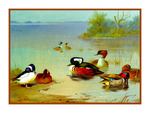 Ducks Seaside by Naturalist Archibald Thorburn's Birds Counted Cross Stitch Pattern