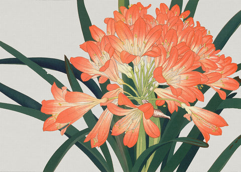 Tanigami Konan Asian Clivia Lily Flowers Counted Cross Stitch Pattern