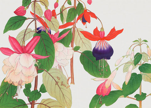 Tanigami Konan Asian Fuchsia Flowers Counted Cross Stitch Pattern