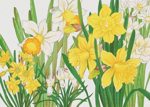 Tanigami Konan Asian Narcissus Flowers Counted Cross Stitch Pattern