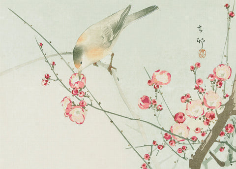 Japanese Artist Ohara (Koson) Shoson's Song Bird on Blossoms Counted Cross Stitch Pattern