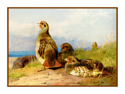 Red Partridges by Naturalist Archibald Thorburn's Birds Counted Cross Stitch Pattern