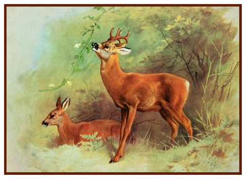 Roe Deer by Naturalist Archibald Thorburn's Animal Counted Cross Stitch Pattern