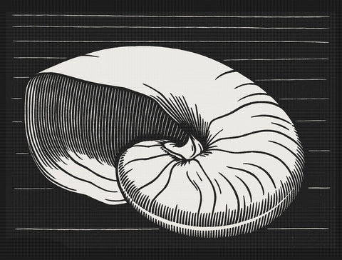 Nautilus Shell by Julie de Graag Counted Cross Stitch Pattern