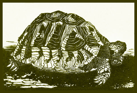 Turtle by Julie de Graag Counted Cross Stitch Pattern