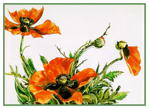 Orange Poppy Flowers Still Life by American Artist Charles Demuth Counted Cross Stitch Pattern