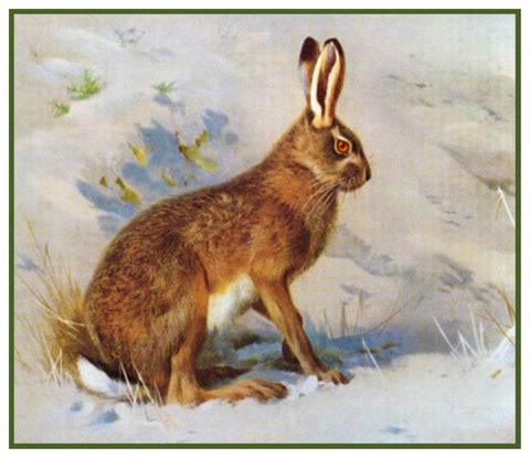 Common Hare Rabbit by Naturalist Archibald Thorburn's Animal Counted Cross Stitch Pattern