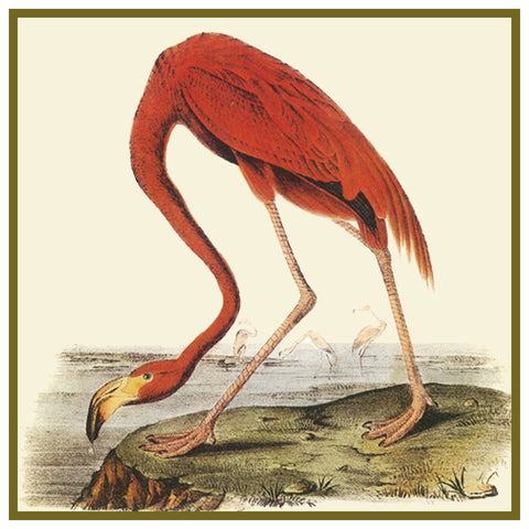 American Flamingo Bird Illustration by John James Audubon Counted Cross Stitch Pattern
