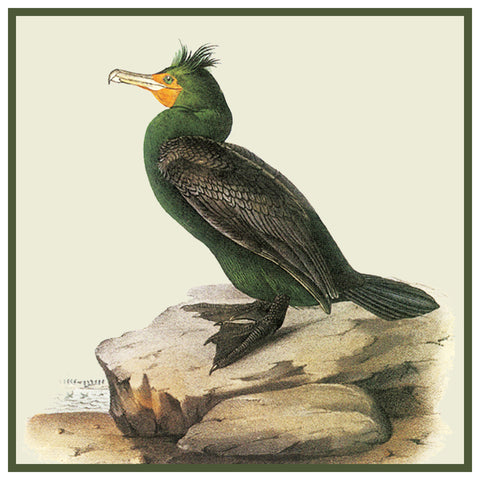 Double Breasted Cormorant Bird Illustration by John James Audubon Counted Cross Stitch Pattern