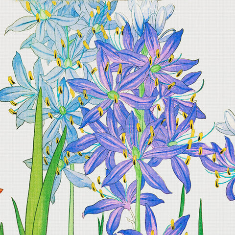 Tanigami Konan Asian Aquilegia Flowers DETAIL Counted Cross Stitch Pattern