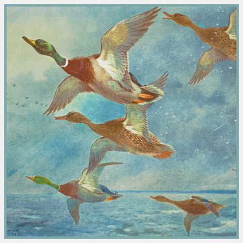 Archibald Thorburn Ducks in Flight Detail Counted Cross Stitch Pattern