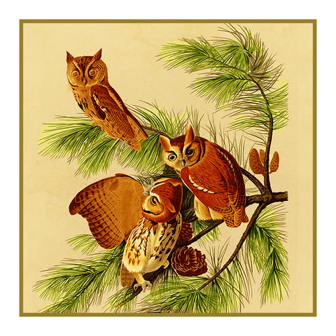 Screech Owls Bird Illustration by John James Audubon Counted Cross Stitch Pattern